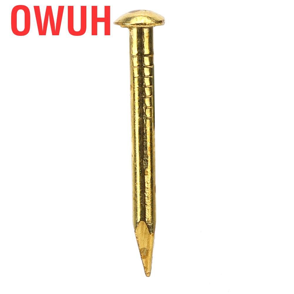 Bộ 100 đinh đầu tròn 10mm / 15mm 18mm 22mm bằng đồng thau cho bản lề nội thất