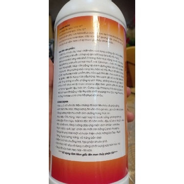 Prozymes plus  sử dụng làm men gốc lên men thủy phân Tỏi dùng cho heo, gà, dê, thỏ...