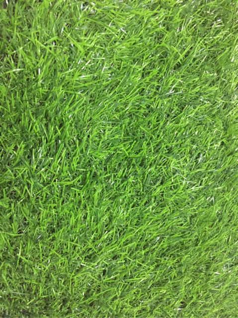 Thảm cỏ nhựa nhân tạo ngọn cao 2cm (cắt lẻ theo yêu cầu)