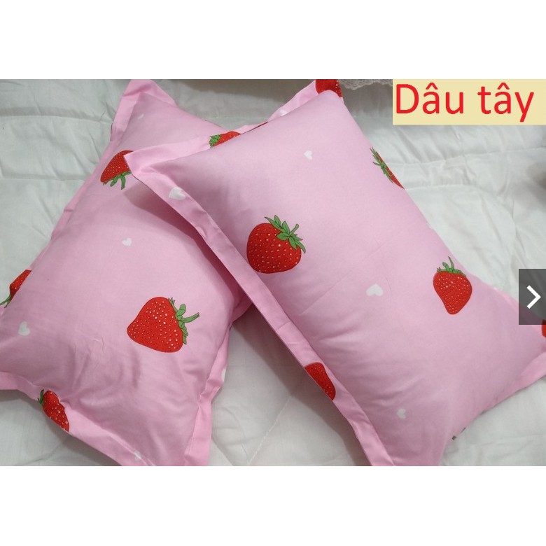 Vỏ gối nằm 45x65cm (Chát chọn mẫu)