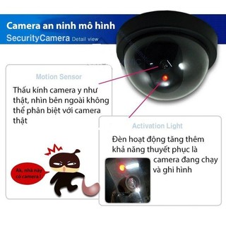 Camera mô hình giống thật chống trộm CAFV2
