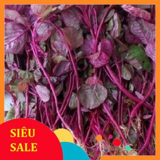 20g Hạt giống Rau Dền đỏ VIETPHAT