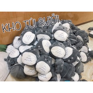 Túi sưởi điện Totoro