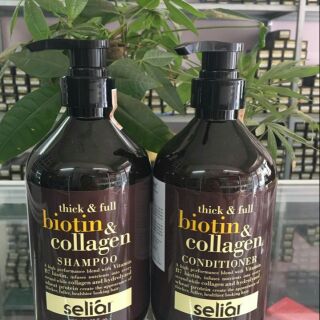 Dầu cặp biotin collagen 800ml×2