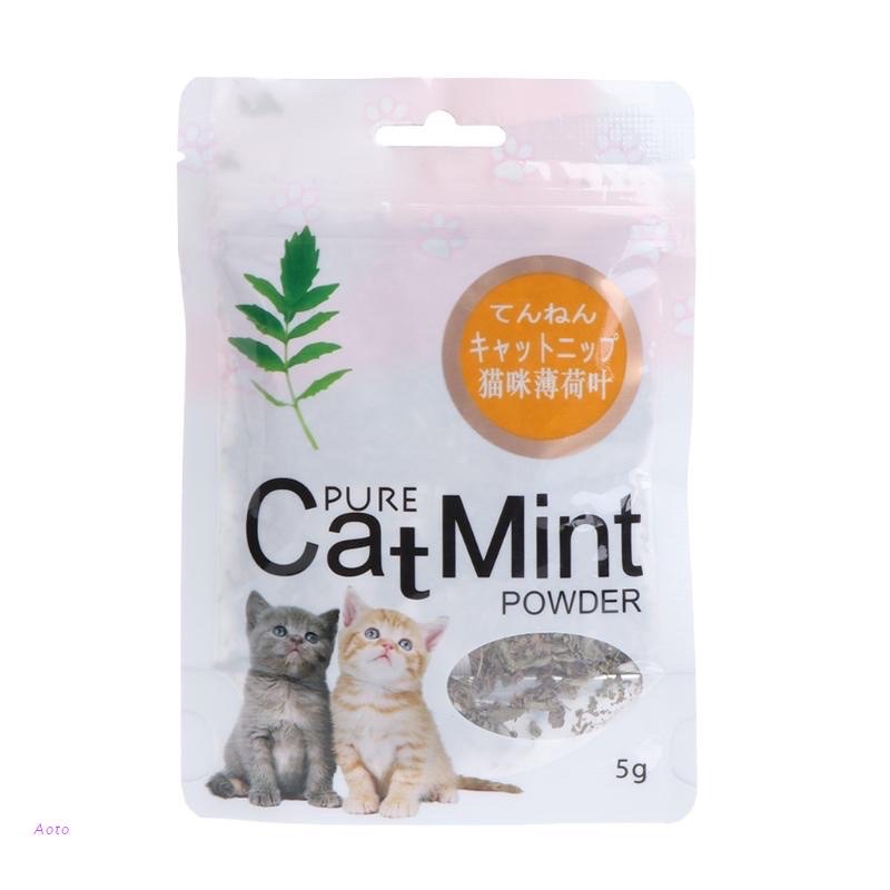 Cỏ Mèo - Cỏ Dành Cho Mèo - Pi Pet Store