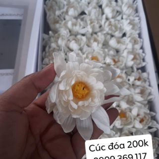 Hoa sáp thơm  (50 bông/ hộp)