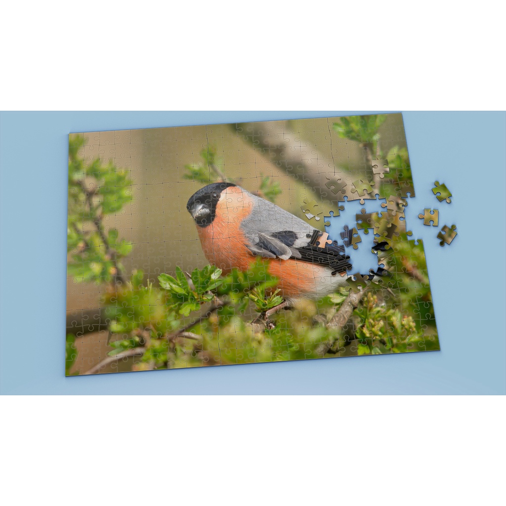 Tranh ghép hình BIRD - Mẫu 25 - Nhận in theo yêu cầu