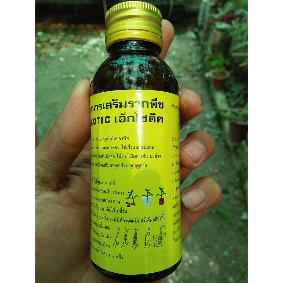 Thuốc kích rễ CỰC MẠNH  – EXOTIC