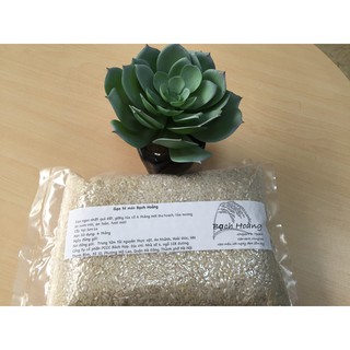 1.5 kg Gạo Tẻ mán - gạo giống cổ 6 tháng trồng tại vùng cao, sát mới giao ngay