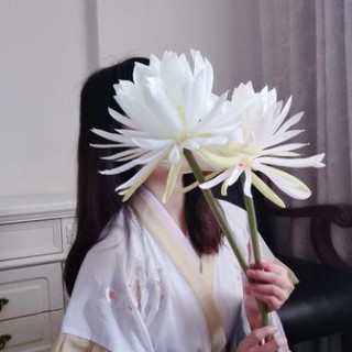 🌺[Order] Hoa lụa chụp ảnh