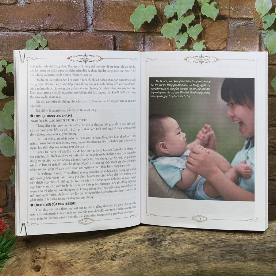 Sách - Cẩm nang nuôi dạy con theo phương pháp Montessori - Thanh Hà Books HCM - Tủ sách giáo dục gia đình kinh điển