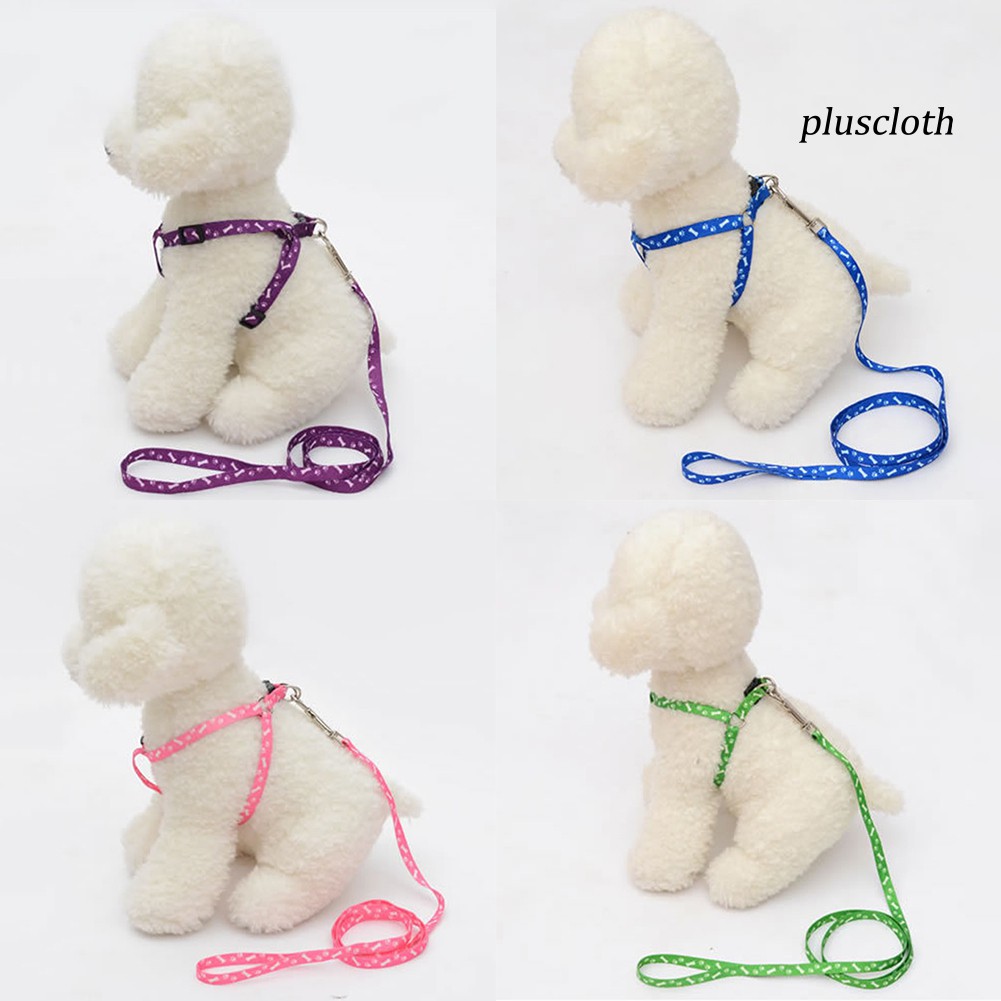 Dây Dắt Thú Cưng Đi Dạo Nhiều Màu 120cm