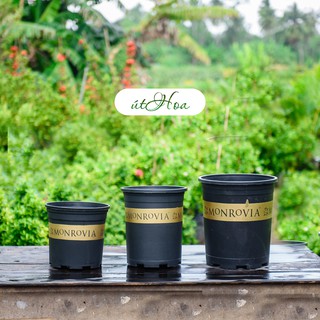 Chậu Monrovia 2GL, 3GL, 5GL nhựa cứng dày dặn