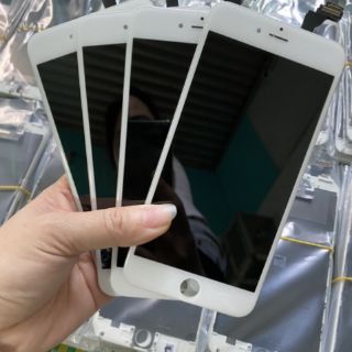 Màn 6plus zin