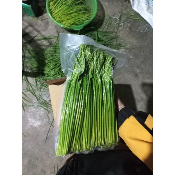 5kg đòng đòng nếp