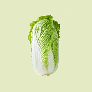 Hạt giống cải thảo