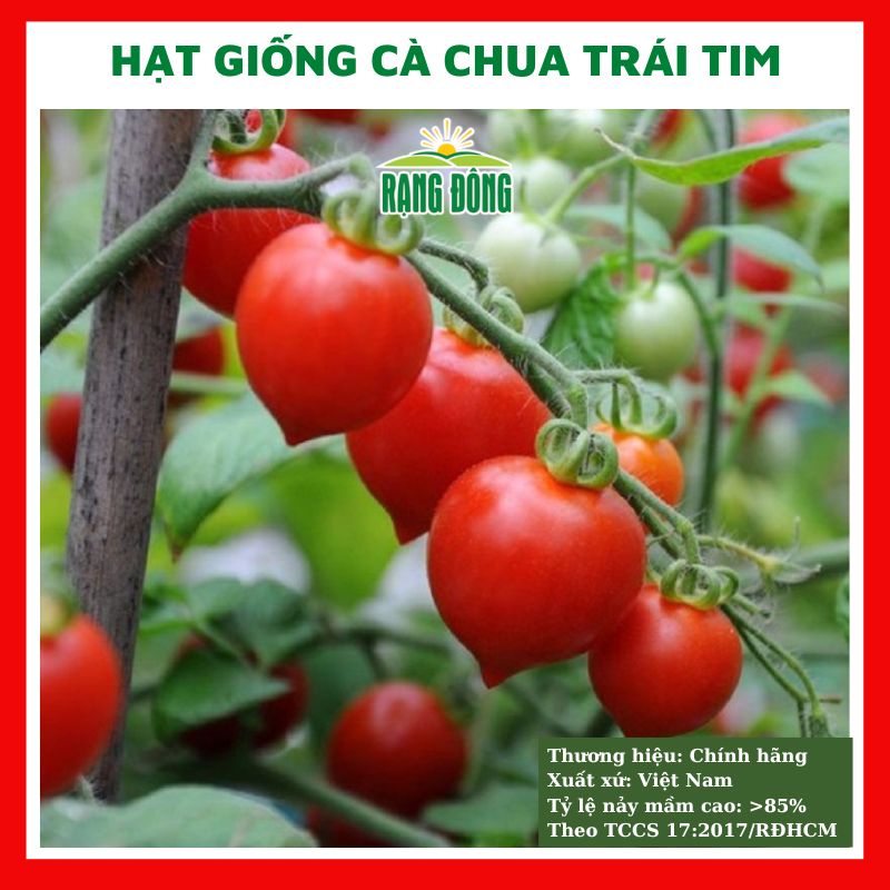 Hạt giống cà chua trái tim giòn ngọt - rau củ quả chịu nhiệt 4 mùa ngon nảy mầm cao 0.1g RADO 632
