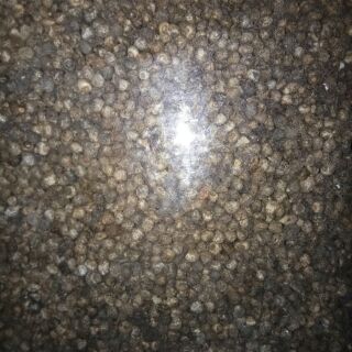 1kg Hạt Chuối hột rừng
