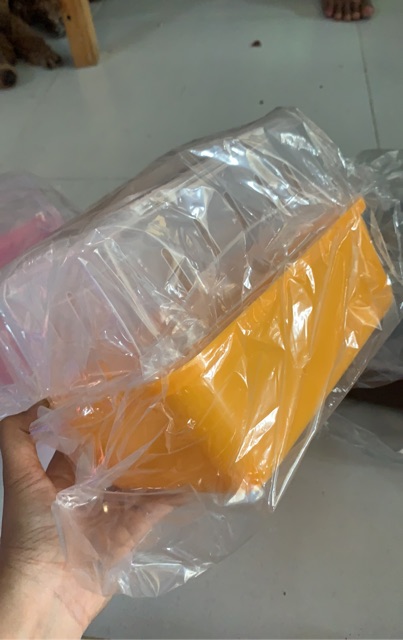 Lồng xách tay mini