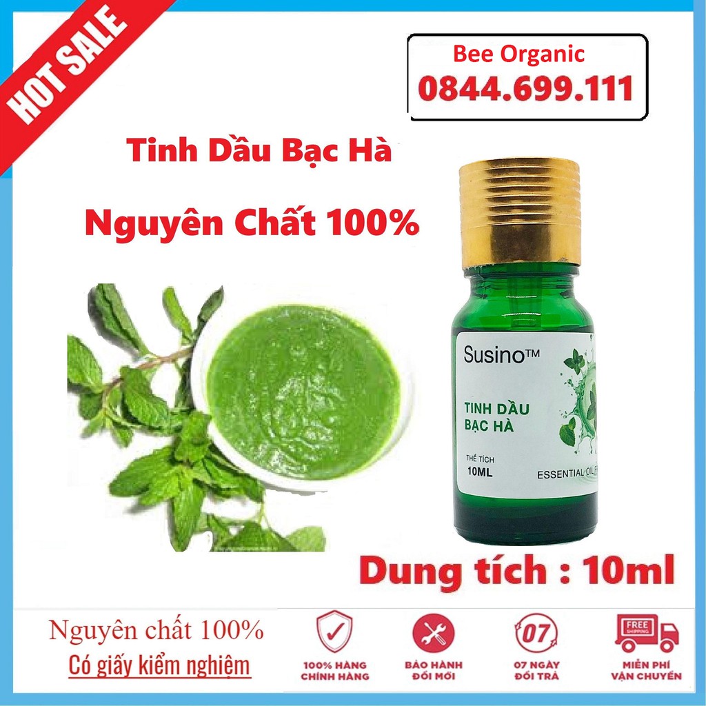 Tinh Dầu Bạc Hà - Thành phần thiên nhiên, mùi hương thơm mát, sảng khoái