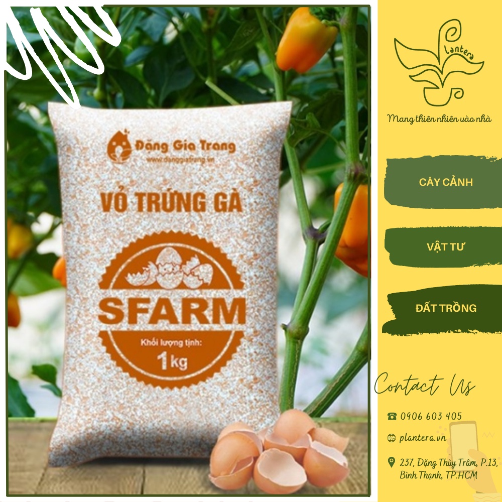 Vỏ Trứng Gà Xay Sfarm Túi 1Kg - Giá Thể - Vỏ Trứng Gà