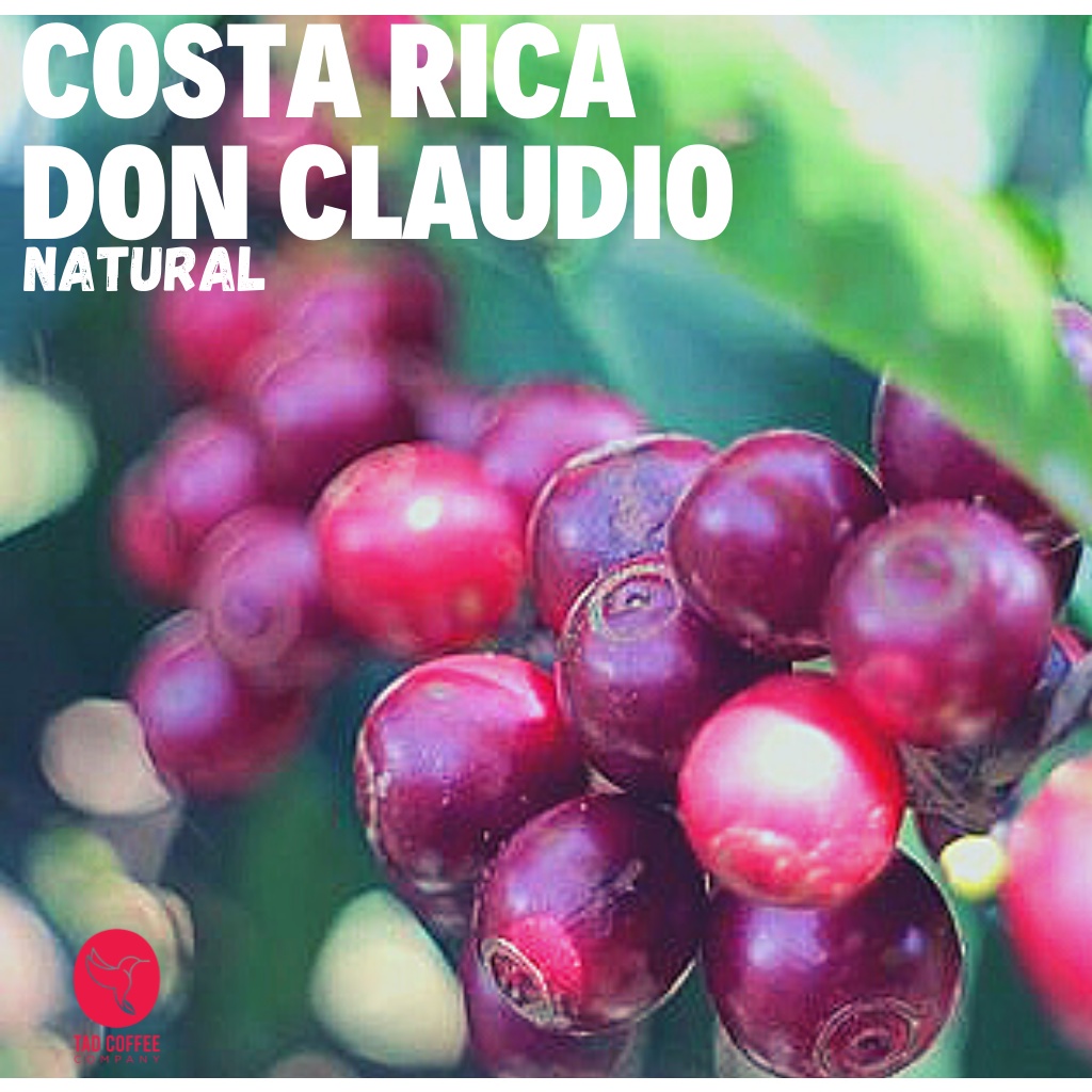 Cà Phê Nguyên Chất Costa Rica Don Clou Dio Nhập Khẩu Basic Coffee Cà Phê Arabica Đặc Sản Rang Mộc