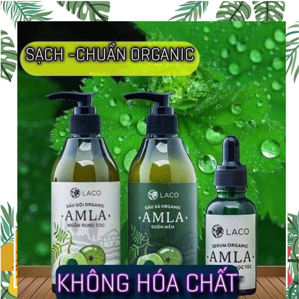 Bộ sản phẩm chăm sóc tóc Amla | BigBuy360 - bigbuy360.vn