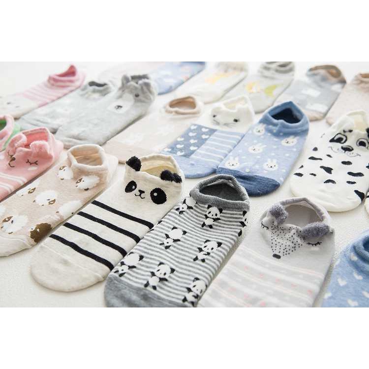 Vớ cotton họa tiết hoạt hình 3D siêu đáng yêu cho nữ