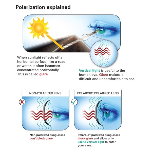 Tròng râm cận mắt polaroid màu đen siêu chống lóa Emilie eyewear phụ kiện thời trang