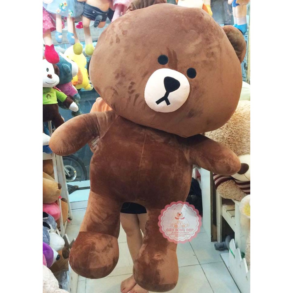 Gấu brown 80 cm cao cấp siêu dễ thương