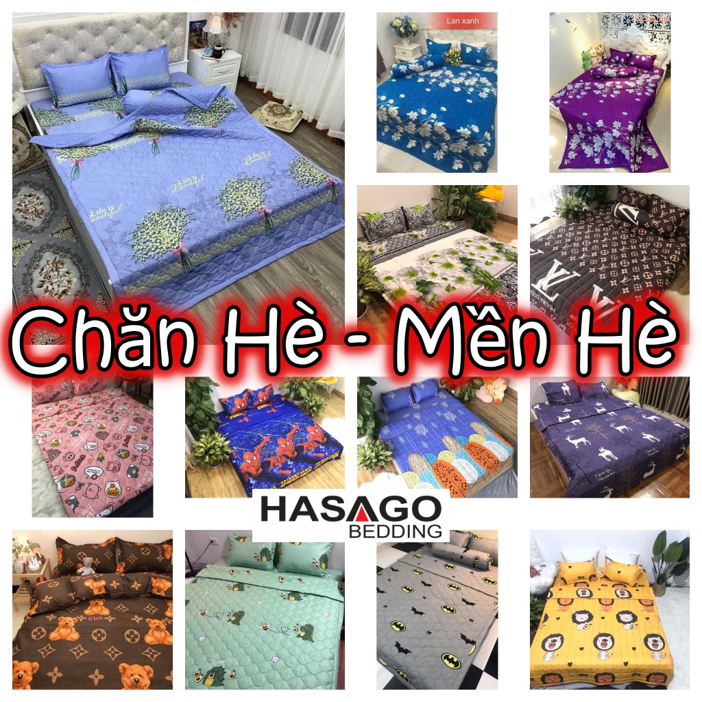 (HCM) Chăn Mền Hè Cotton Poly Hasago Chăn Hè Thu Mát Lạnh Mền Bông Mùa Hè