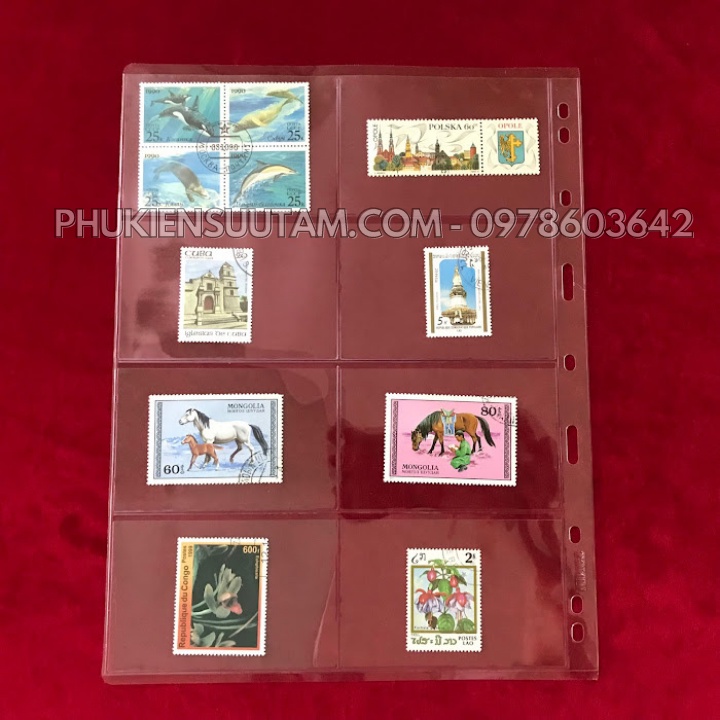 Phơi 8 ngăn trong đựng thẻ, tem thích hợp cho người sưu tầm tiết kiệm chi phí, không gian- SP001144