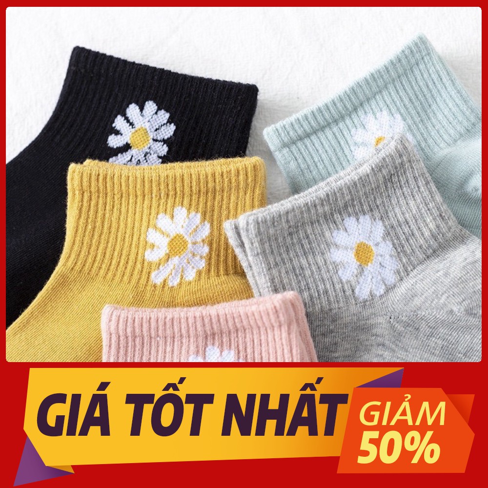 [Sale toàn shop]combo 10đôi TẤT VỚ NAM NỮ MANG GIÀY CỔ TRỤ HOA CÚC 300 SIÊU DỄ THƯƠNG