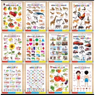 Tranh treo tường 14 chủ đề cho bé