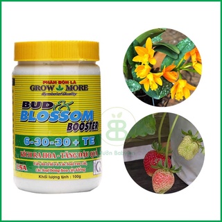 GrowMore 6-30-30 - Phân Bón NPK cho Hoa, Cây Kiểng, Phong Lan lọ 100gr