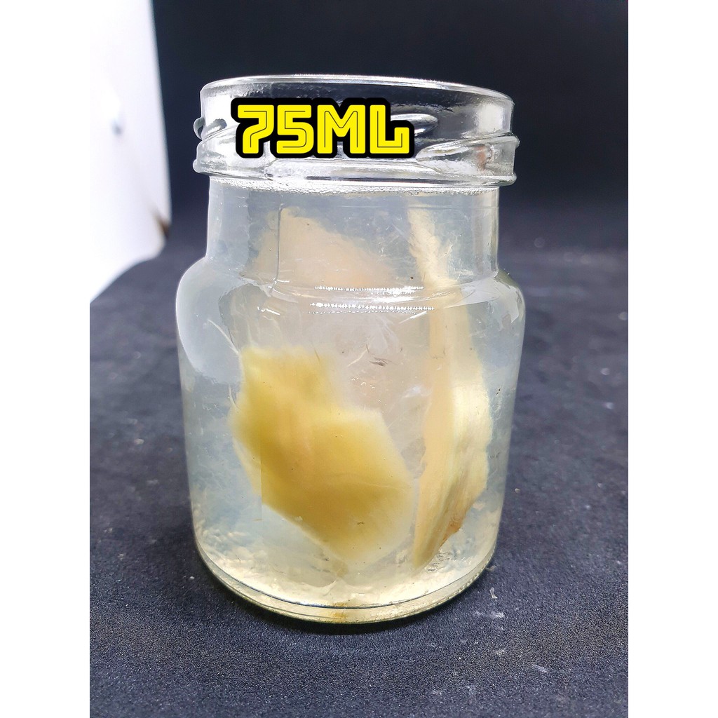 Yến hũ chưng sẵn 75 ML - 8gr yến tươi