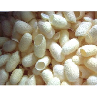 Mặt nạ kén tằm trắng da handmade