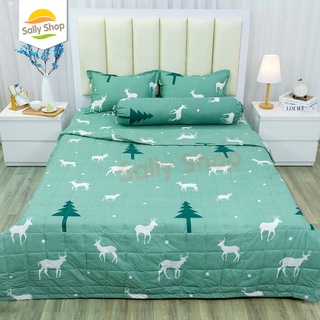 Chăn hè trần bông cotton poly vịt hồng