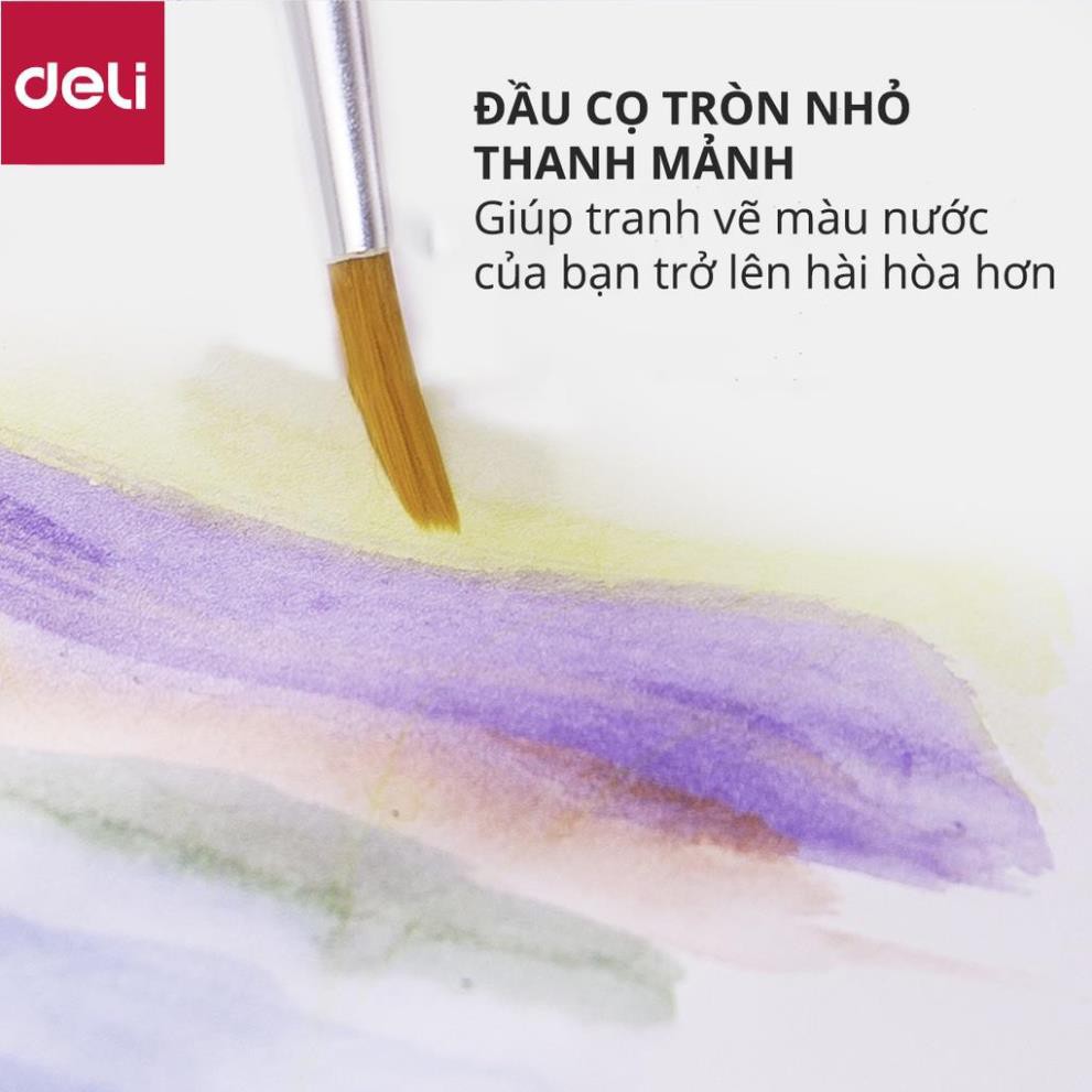 Bộ cọ vẽ chuyên nghiệp Deli - dùng cho màu nước/bột/sơn acrylic -Set 4/6 cây- 73885/73866/73867 [Deli]