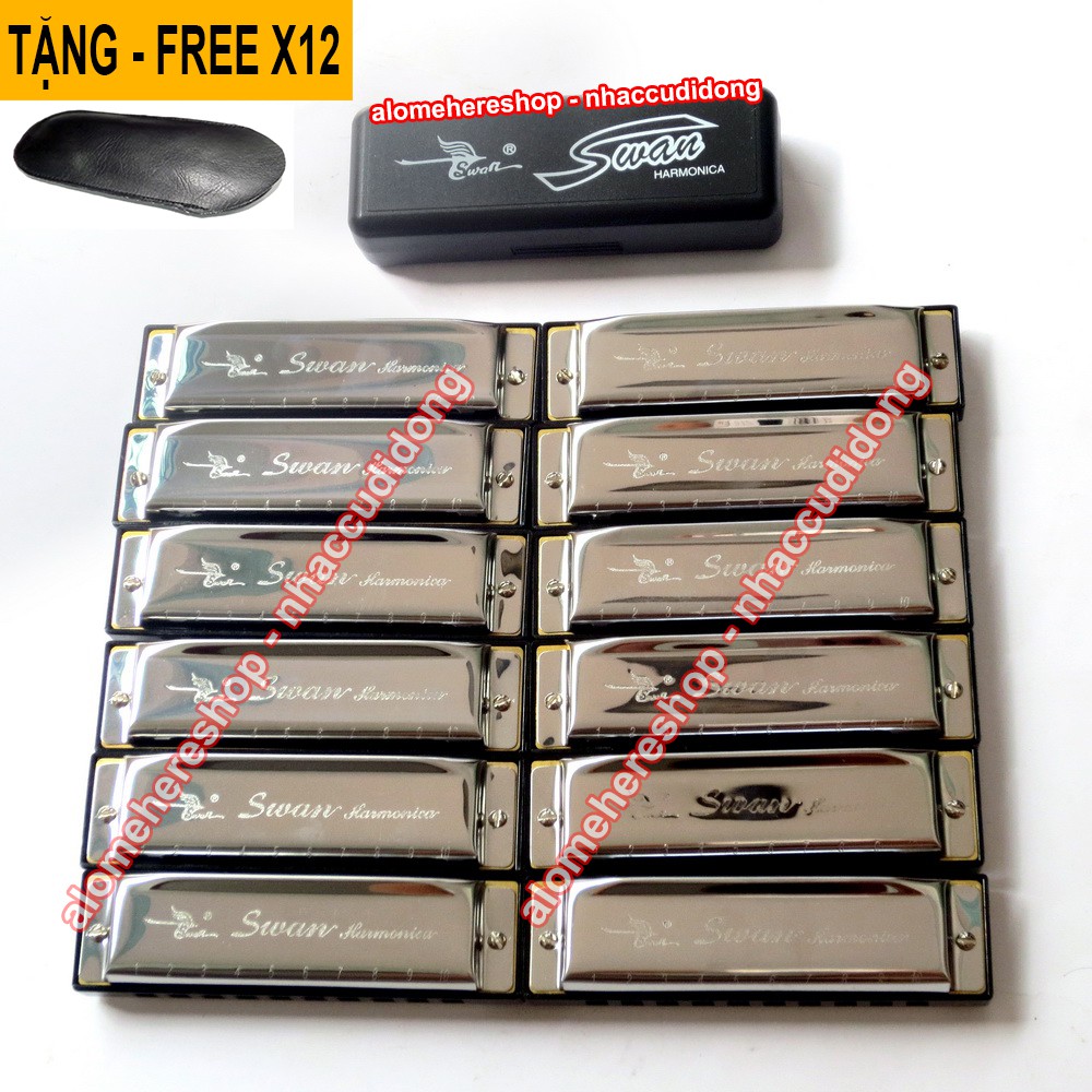 Combo 12 cây kèn harmonica Swan SW1020 10 lỗ Diatonic 12 Tone C/D/E/F/G/A/B/C#/D#/F#/G#/A#