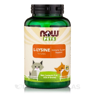 Bột L-Lysine dành cho mèo tặng Hệ miễn dịch Now Pets 227g