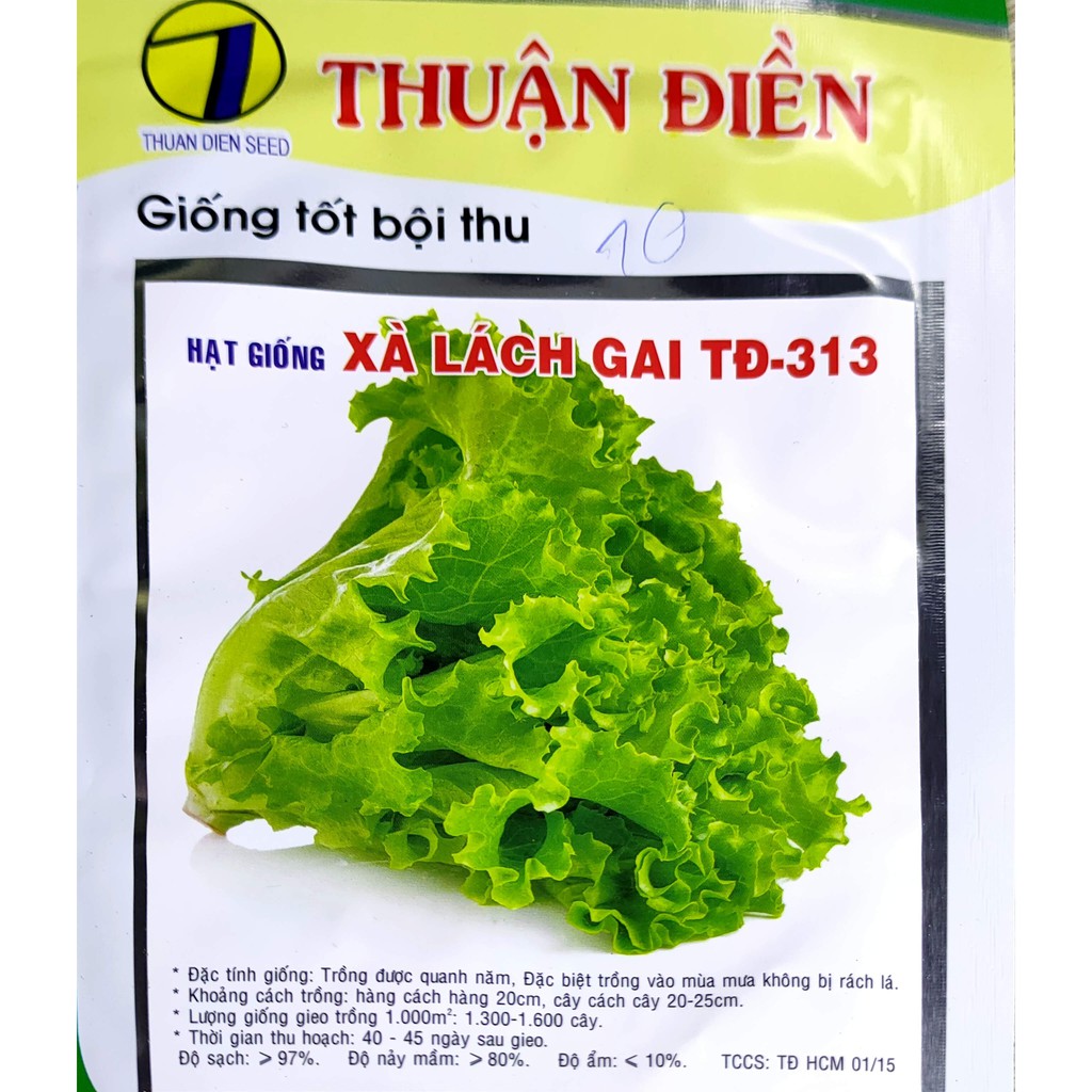 hạt giống xà lách td-313 ( 10 gram )