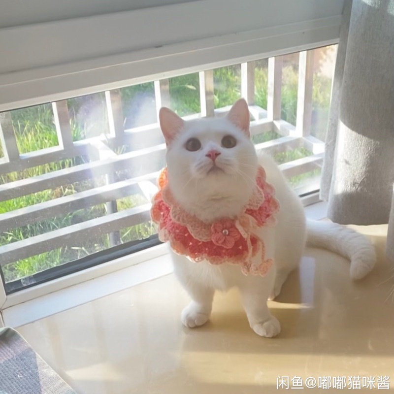 Yếm len handmade cho mèo,cún,thỏ,...