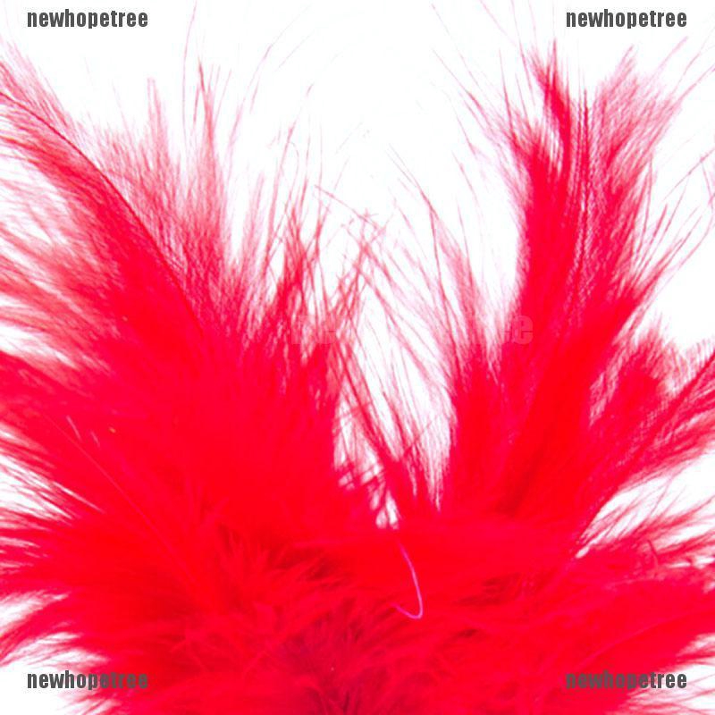 Cầu đá lông sặc sỡ