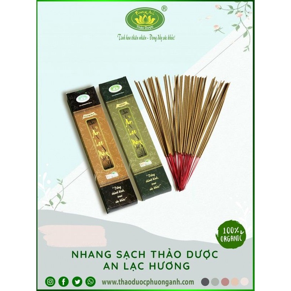 An lạc hương - Hương thảo dược Phương Anh 4 tấc 100 - 200 cây