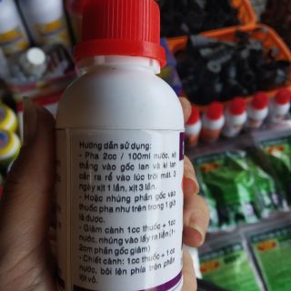 WHITE ROOT - SIÊU KÍCH RỄ BÁO HỶ 100ml