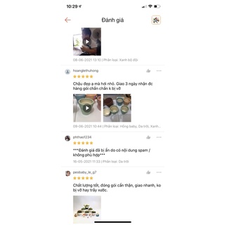 Chậu sen đá mini decor cầu vồng
