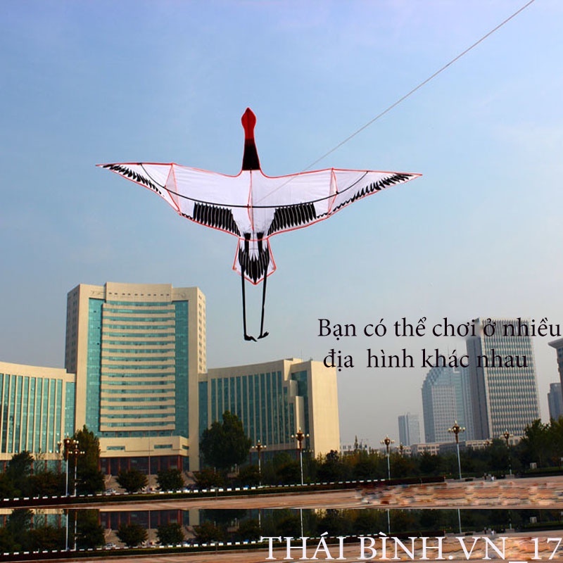 DIỀU SẾU ĐẦU ĐỎ - DIỀU HỒNG HẠC 2 MÉT