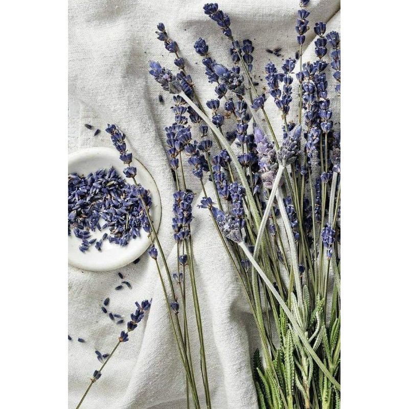 ♥️ 1 CÀNH Hoa Khô Lavender ♥️ decor, trang trí, chụp ảnh sản phẩm