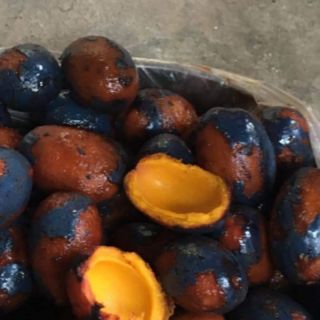 Quả cọ sống- đặc sản Phú Thọ( 1kg)